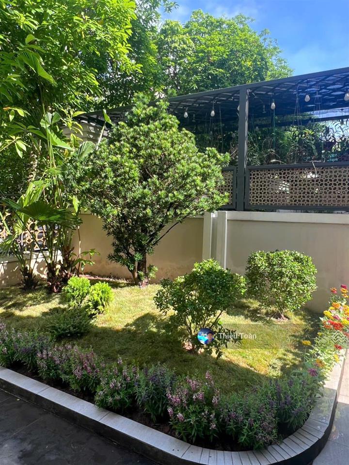 Cho thuê biệt thự khu h11  starlake, diện tích đất 230m2, xd 100m2, 3 tầng, 1 tum, giá 70tr/th