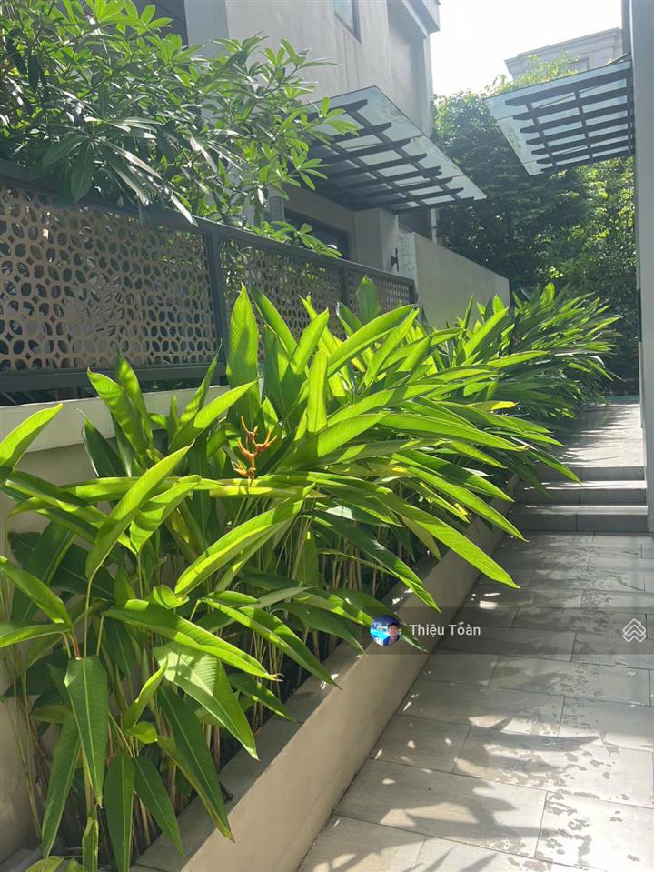 Cho thuê biệt thự khu h11  starlake, diện tích đất 230m2, xd 100m2, 3 tầng, 1 tum, giá 70tr/th