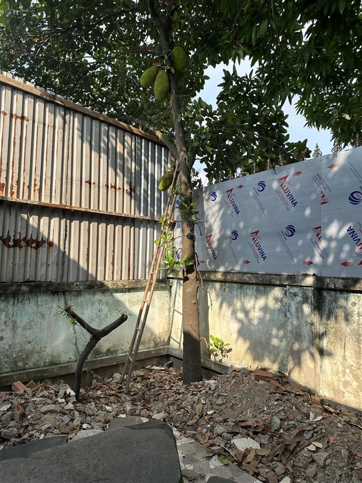 Cho thuê kho xưởng 300m2 hxh c7d & cao lỗ giá chỉ 18tr/tháng