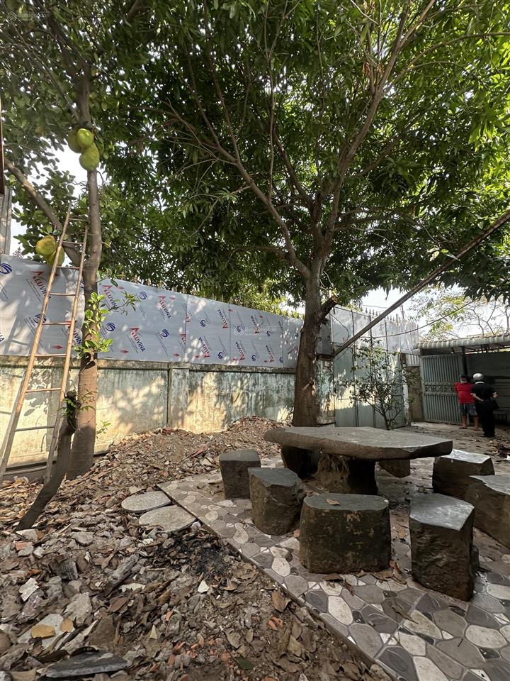 Cho thuê kho xưởng 300m2 hxh c7d & cao lỗ giá chỉ 18tr/tháng