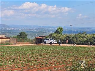 Bán gấp đất tại đinh văn, lâm hà  5x52m  150m2 tc  đường betong 5m, sổ riêng, giá 470tr