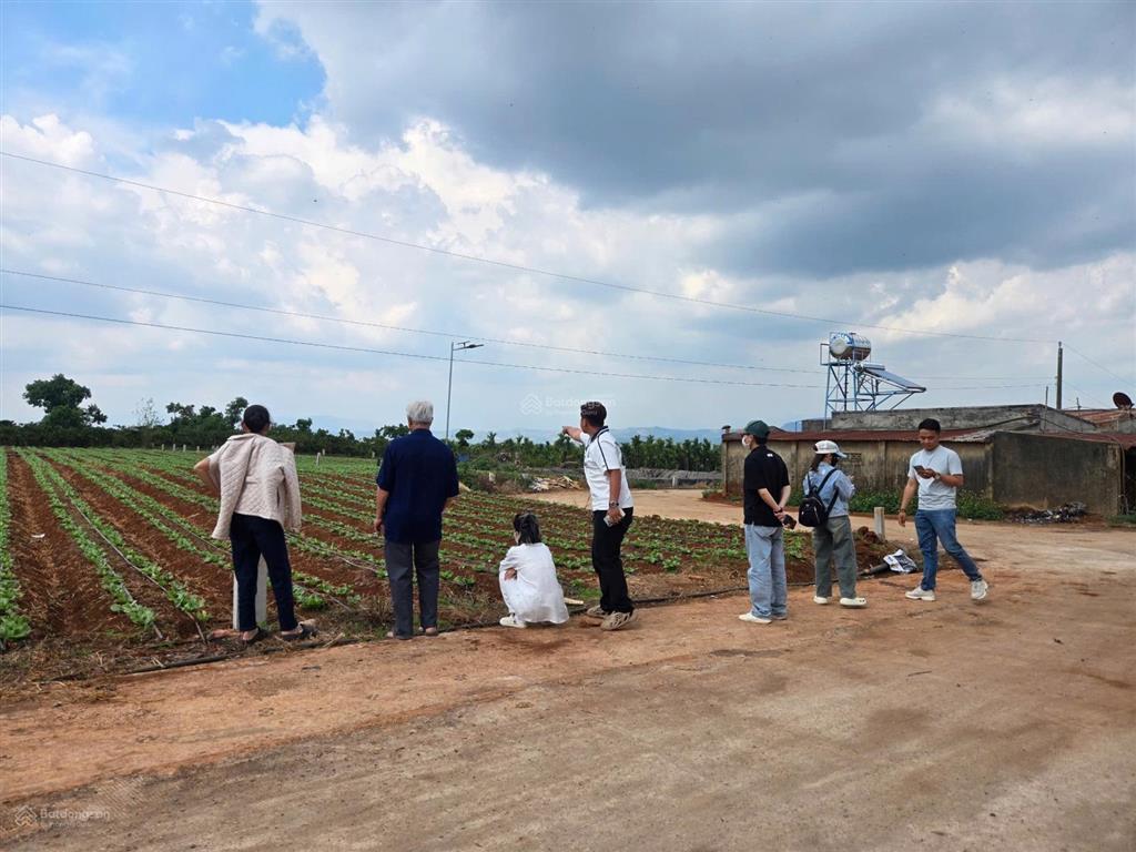 Bán gấp đất tại đinh văn, lâm hà  5x52m  150m2 tc  đường betong 5m, sổ riêng, giá 470tr