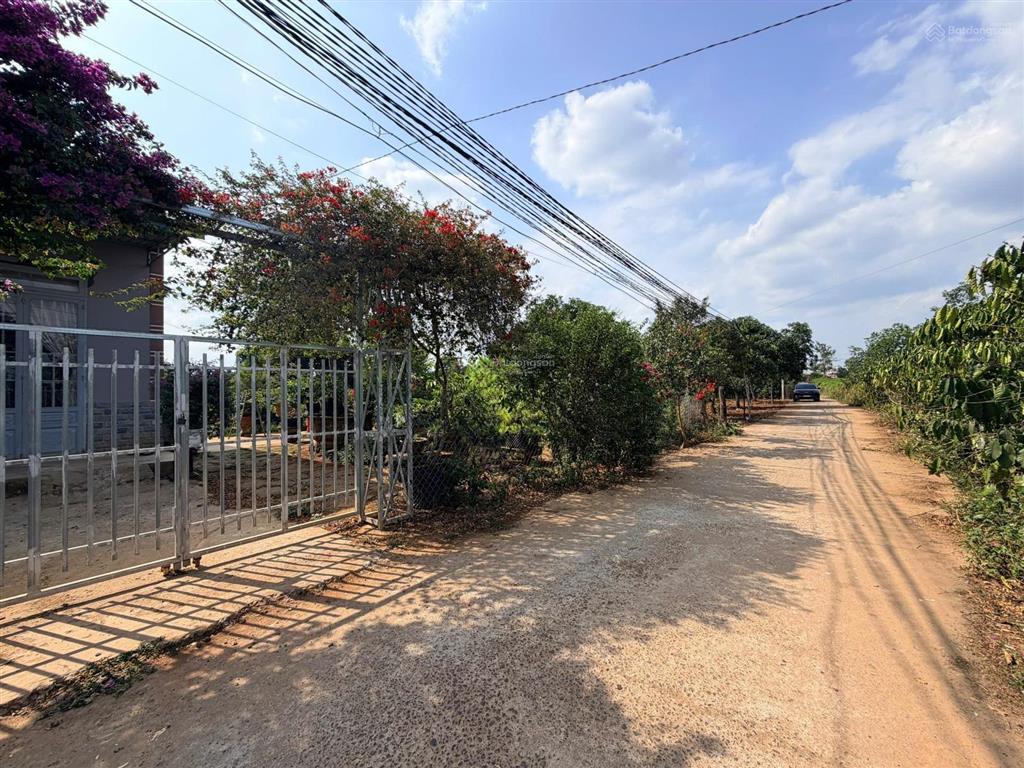 Bán gấp lô 16m tân hội, cách đường nhựa dh chỉ 200m, 431m², 72tc, sổ mới, giá 1,550 tỷ