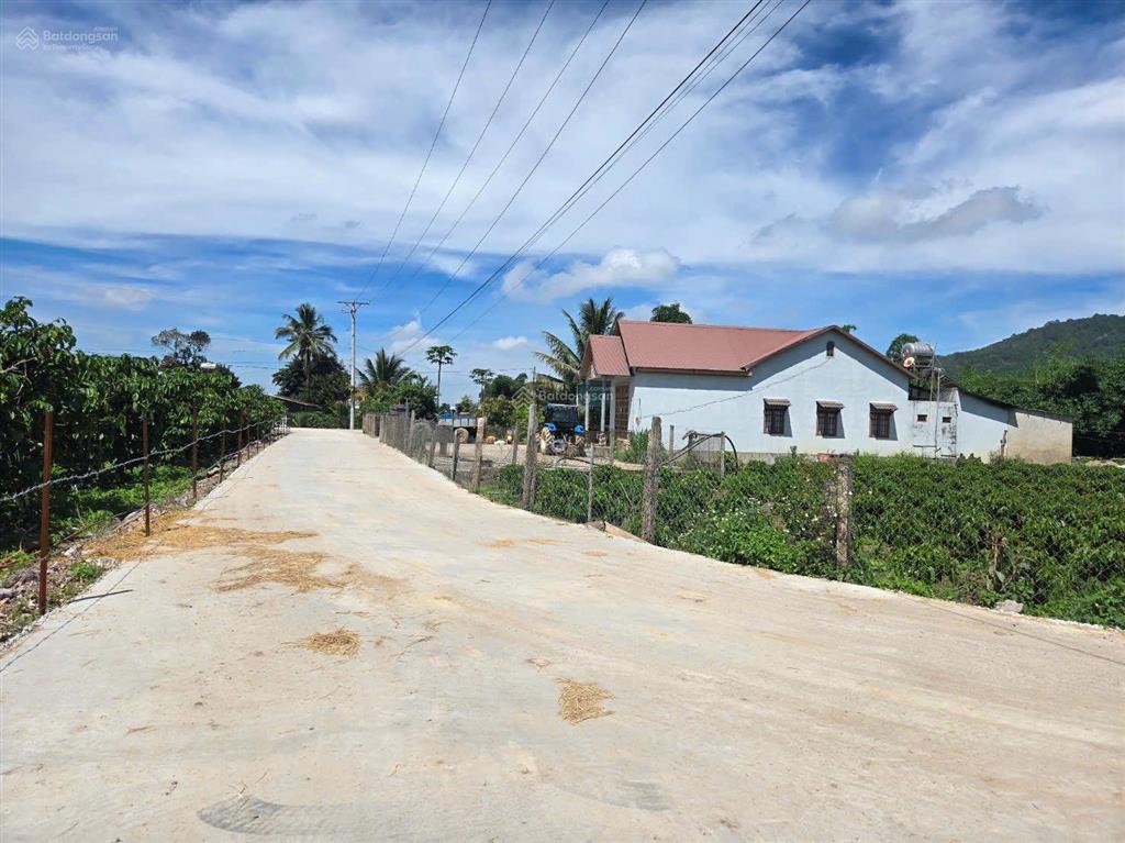 Bán đất gần reo  cư xá, hiệp thạnh (đức trọng cũ), 5x37x75mtc, gần sân bay, sổ riêng, giá 850tr