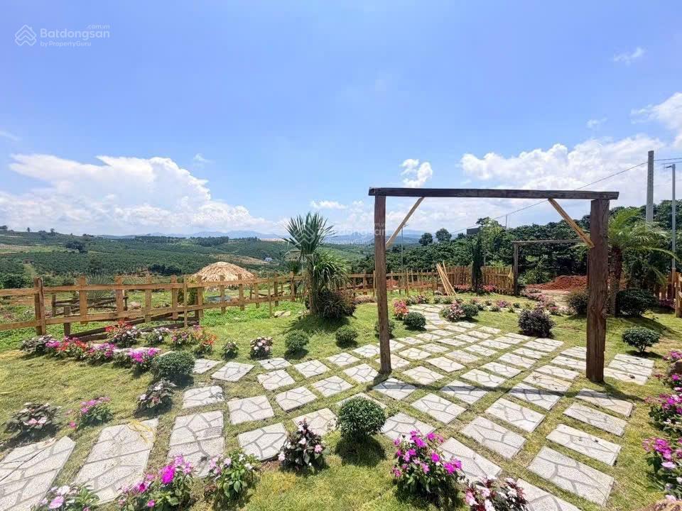 Bán đất đường nhựa 6m, cách đt725 tân văn chỉ 200m, 7x38x80tc, sổ sẵn, giá 439tr