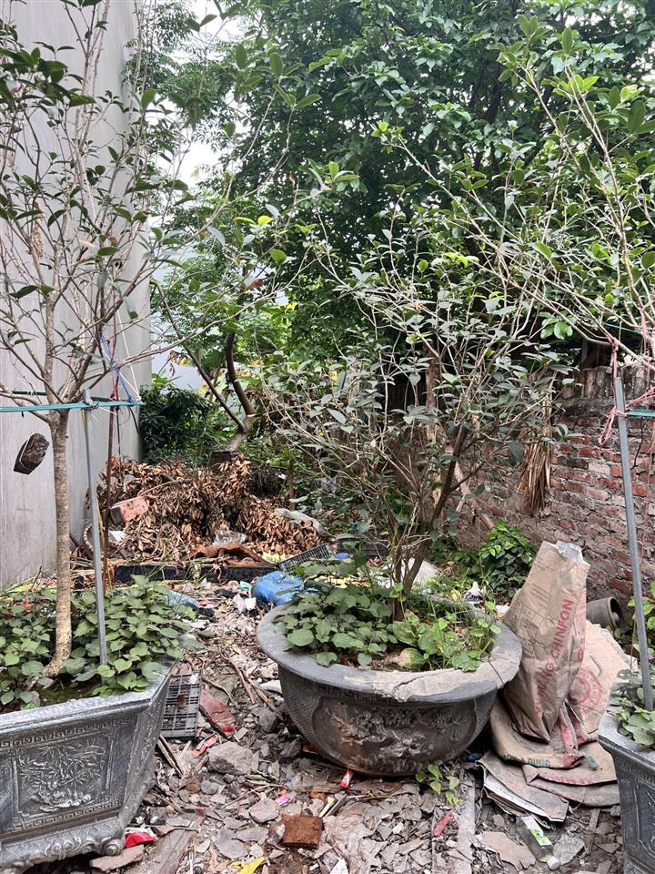 4,x tỷ sở hữu mảnh đất đẹp xinh 40m2 trung tâm đại cát gần cầu thượng cát