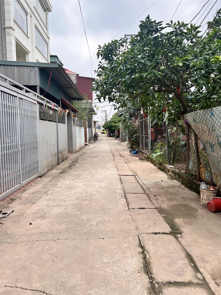 Bán đất tặng nhà cấp 4 đường liên mạc  yên nội. gần khu trung tâm hành chính phường thượng cát