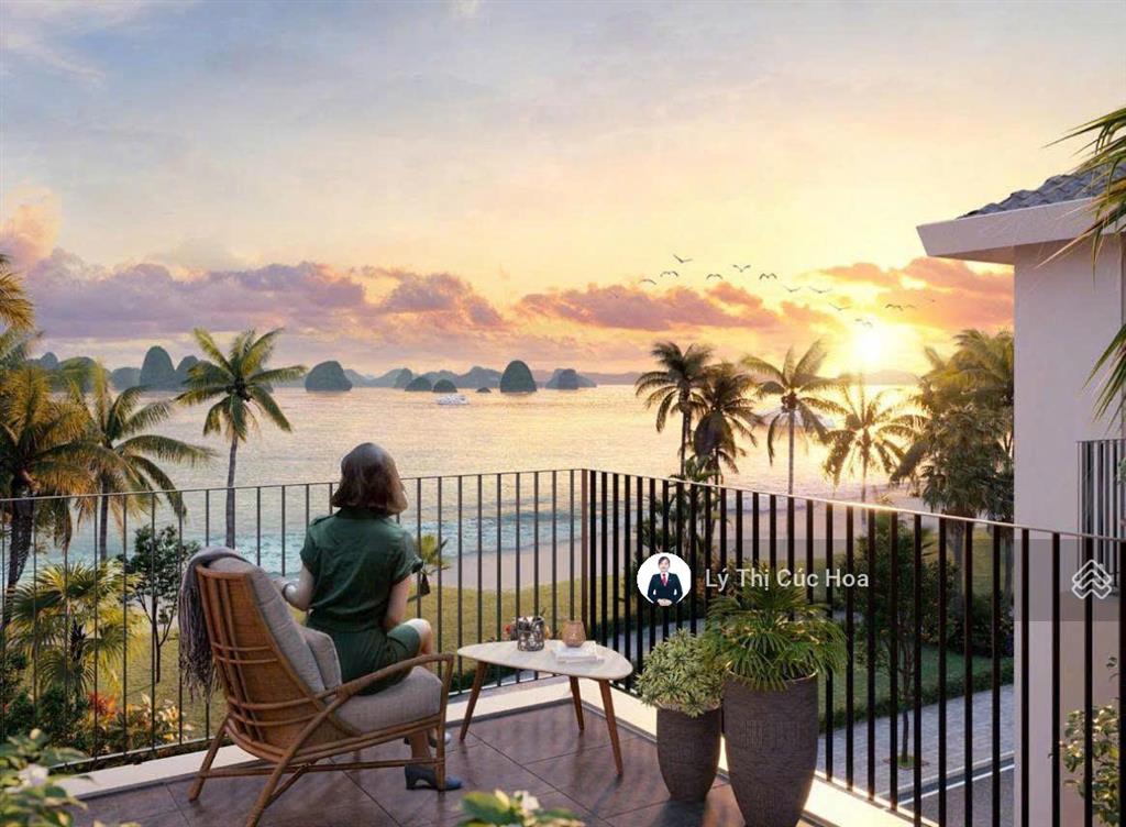 Chính chủ gửi bán studio mặt biển m1712 giá siêu tốt 2,7 tỷ full giá ký hđmb aria bay hạ long