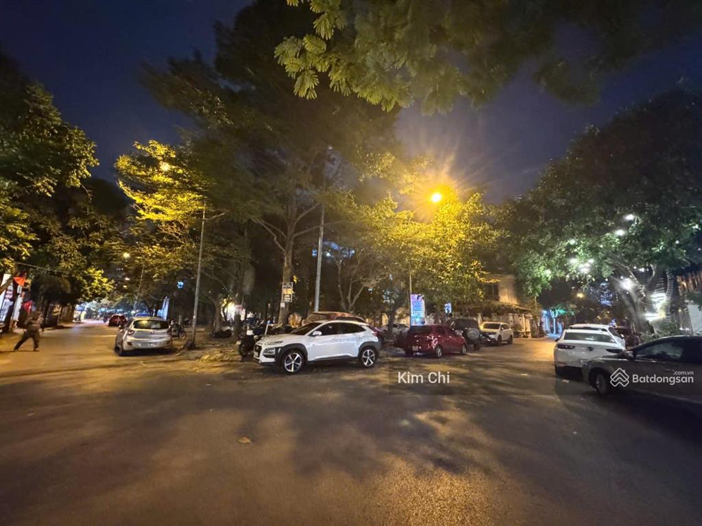 Bán nhà liền kề biệt thự làng việt kiều châu âu, lô góc kinh doanh, mặt vườn hoa 185m2, giá 48,5 tỷ