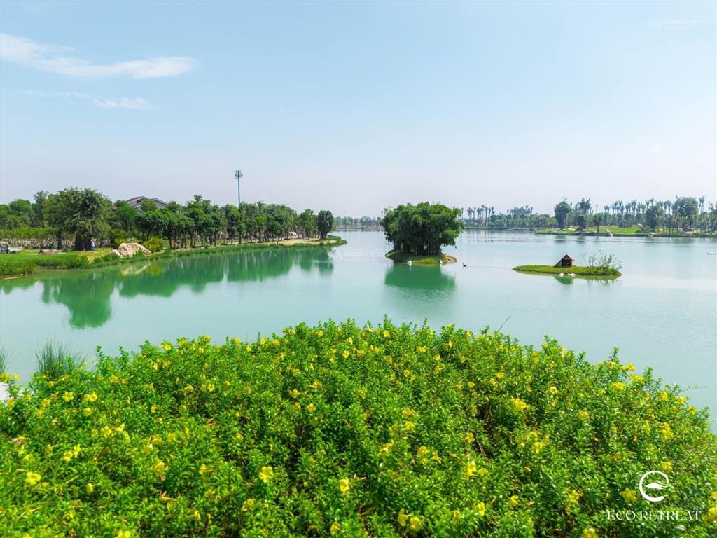 Hàng trực tiếp chủ đầu tư biệt thự rừng retreat foresttúi rừng trị liệu đầu tiên tại vn, ck 11%