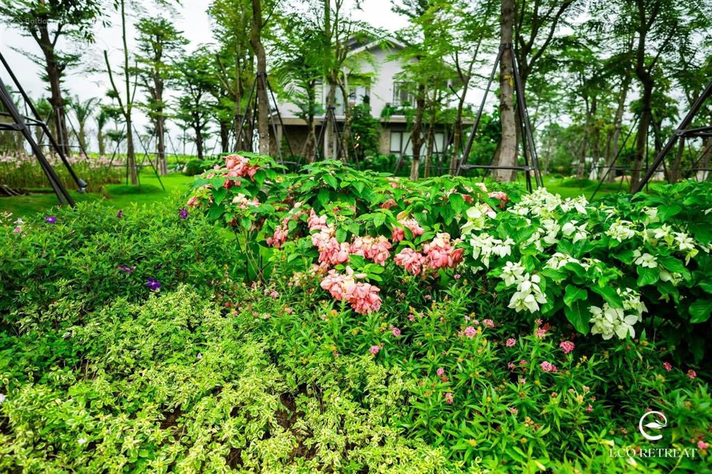 Hàng trực tiếp chủ đầu tư biệt thự rừng retreat foresttúi rừng trị liệu đầu tiên tại vn, ck 11%