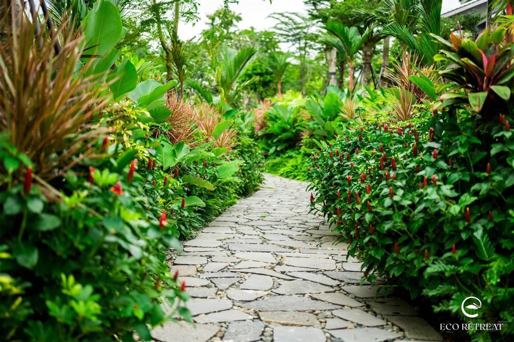 Hàng trực tiếp chủ đầu tư biệt thự rừng retreat foresttúi rừng trị liệu đầu tiên tại vn, ck 11%