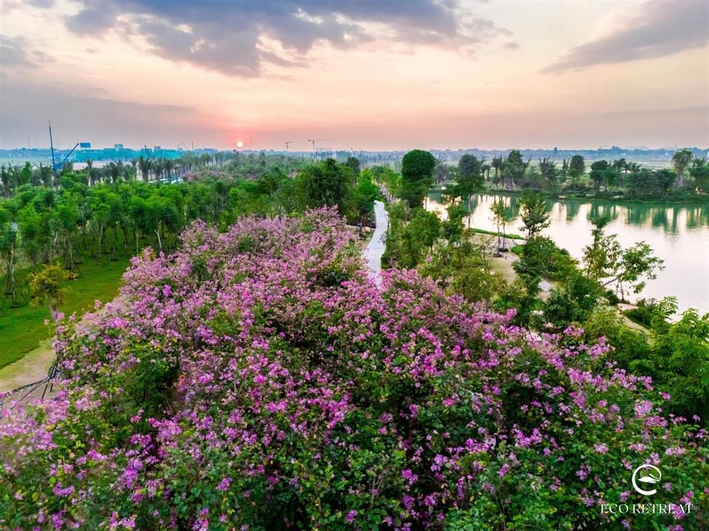 Hàng trực tiếp chủ đầu tư biệt thự rừng retreat foresttúi rừng trị liệu đầu tiên tại vn, ck 11%