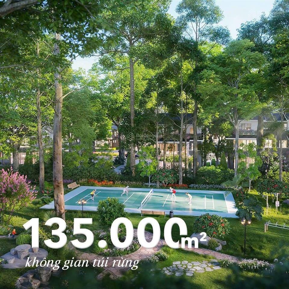 Hàng trực tiếp chủ đầu tư biệt thự rừng retreat foresttúi rừng trị liệu đầu tiên tại vn, ck 11%