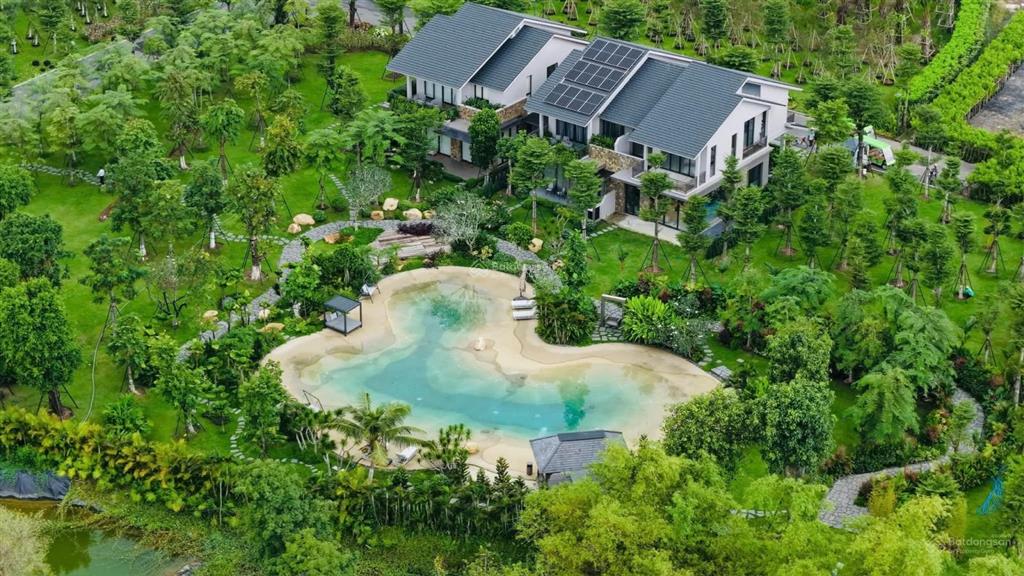 Hàng trực tiếp chủ đầu tư biệt thự rừng retreat foresttúi rừng trị liệu đầu tiên tại vn, ck 11%