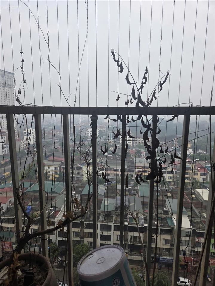 Chính chủ cần bán căn chung cư ct1b tân tây đô  3pn  3wc