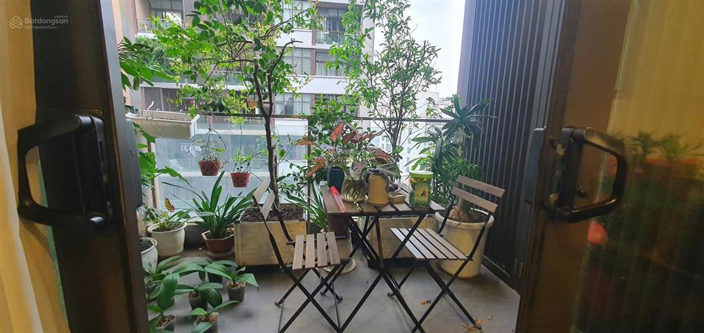 Chính chủ cần bán gấp căn 3 ngủ dự dolphin plaza, diện tích 164m2, giá 11 tỷ, sẵn sổ full nội thất
