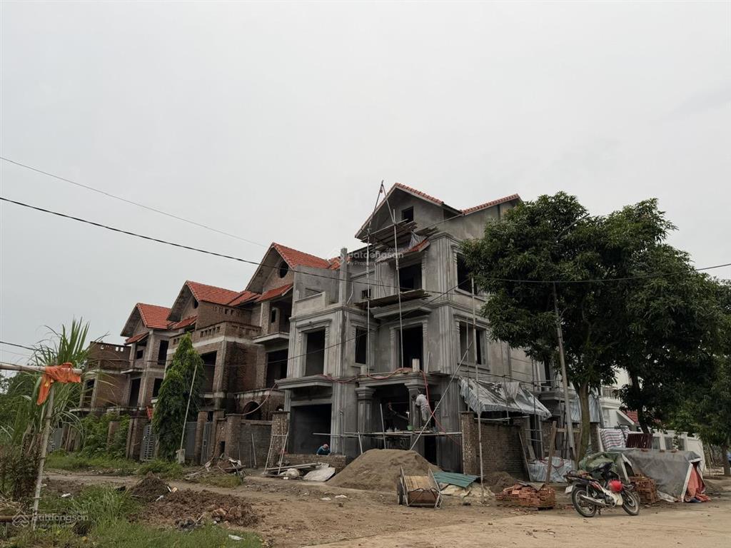 Biệt thự song lập giá cực tốt đầu tư tại dự án vinaconex kđt quang minh  ml  hn