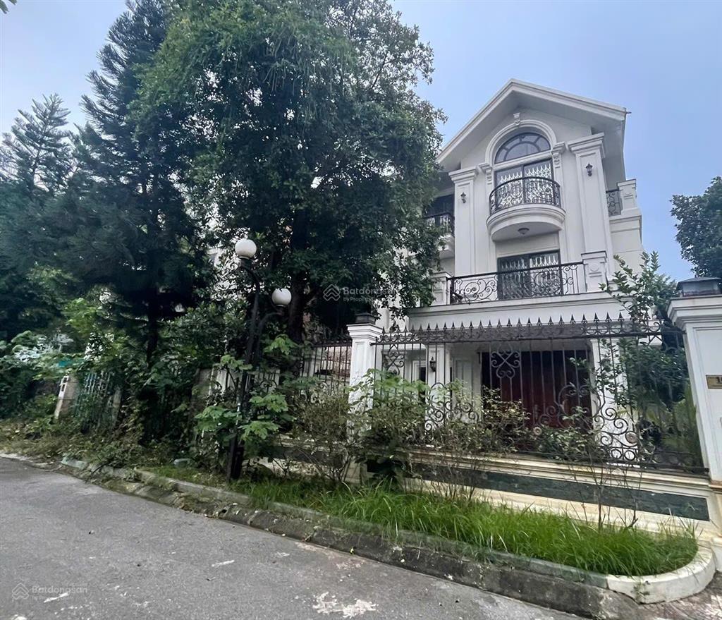 6xtr/m2 bt hoàn thiện sẵn cho thuê long việt view công viên tại quang minh  mê linh hn. 0815 143 ***