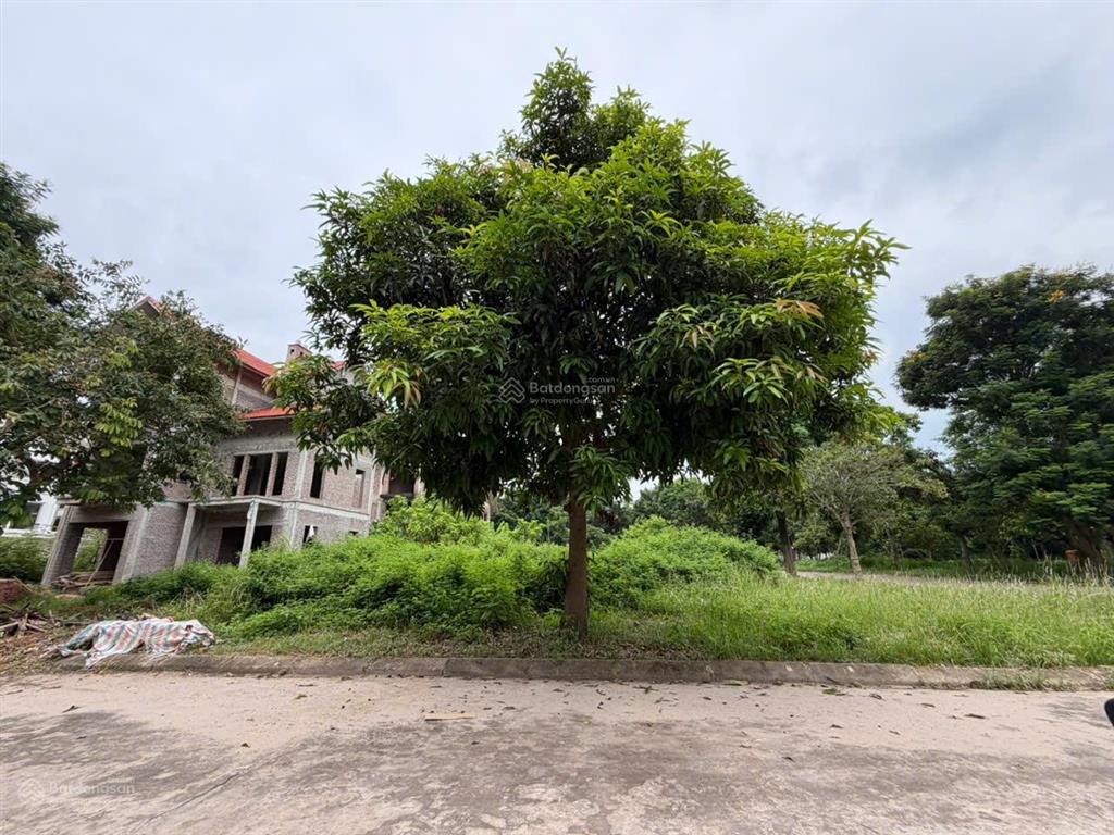 4xtr/m2 bt mặt sông view công viên vinaconex 2 kđt quang minh, mê linh, hà nội 0815 143 ***