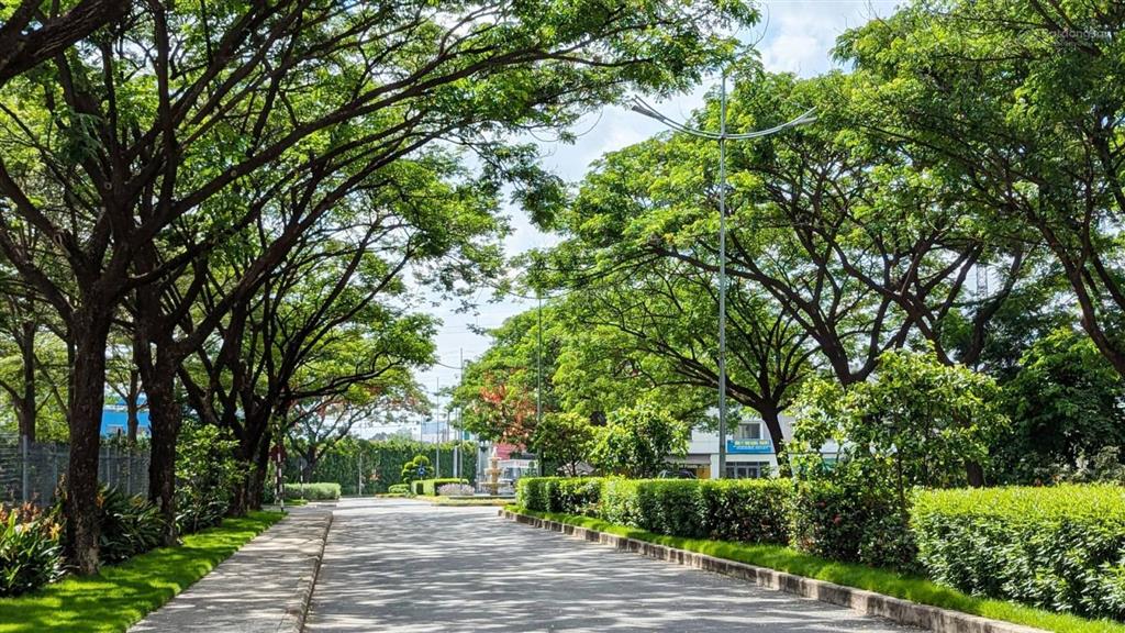 Mở bán setia edenia (kđt eco xuân)  mặt tiền ql13  chọn căn ưng ý, booking sớm nhận ck khủng