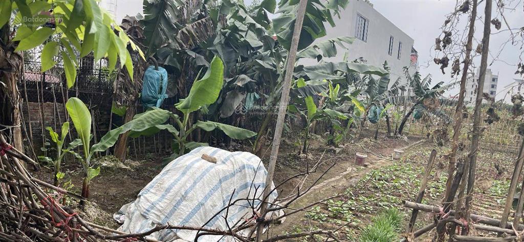 Chính chủ bán nhanh 109m full thổ cư đan kim, văn giang, ô tô chạy quanh, nở hậu, tiềm năng cao