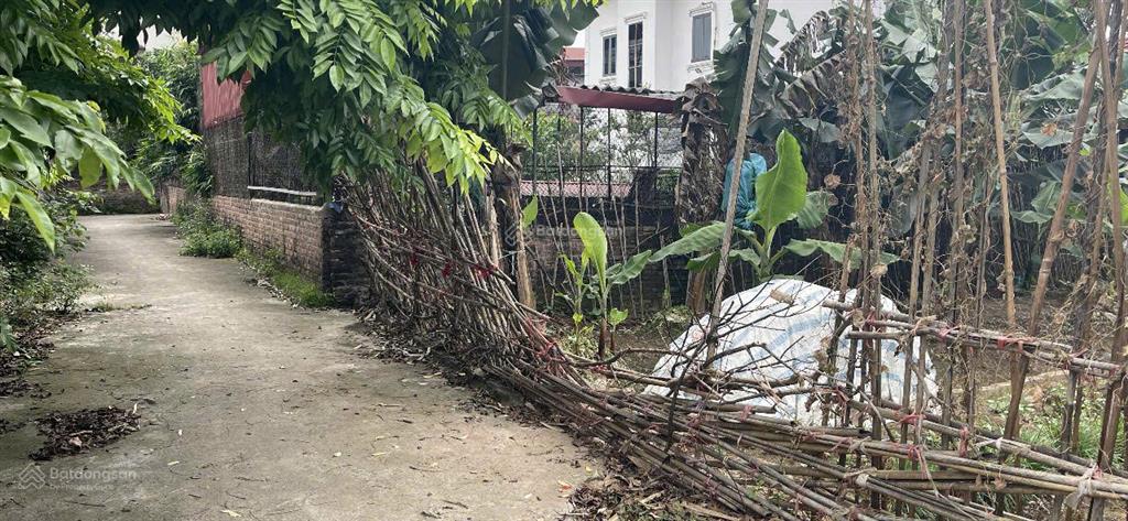 Chính chủ bán nhanh 109m full thổ cư đan kim, văn giang, ô tô chạy quanh, nở hậu, tiềm năng cao