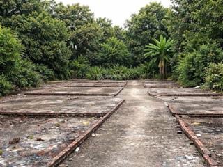 Đất phân lô, gần thôn 3 vạn phúc, thanh trì, hà nội 42m2 mt5 m, vf3 ngủ trong đất, giá 3,33 tỷ