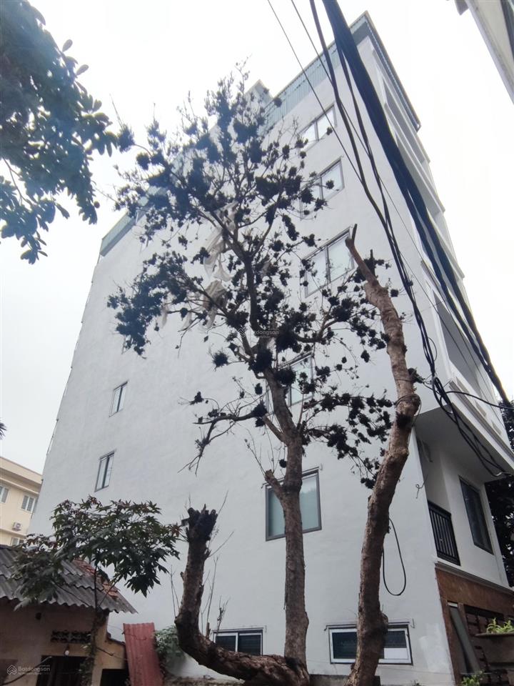 Ngũ hiệp  ccmn 8 tầng thang máy 18 phòng  dòng tiền 700tr/năm  nhỉnh 17 tỷ