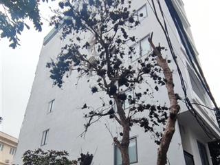 Ngũ hiệp  ccmn 8 tầng thang máy 18 phòng  dòng tiền 700tr/năm  nhỉnh 17 tỷ