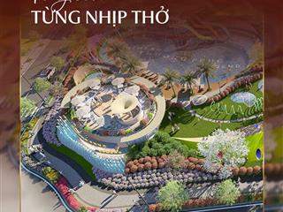 Him lam thượng phúc legend tâm điểm olympic, 4 mặt tiền hiếm nam hà nội