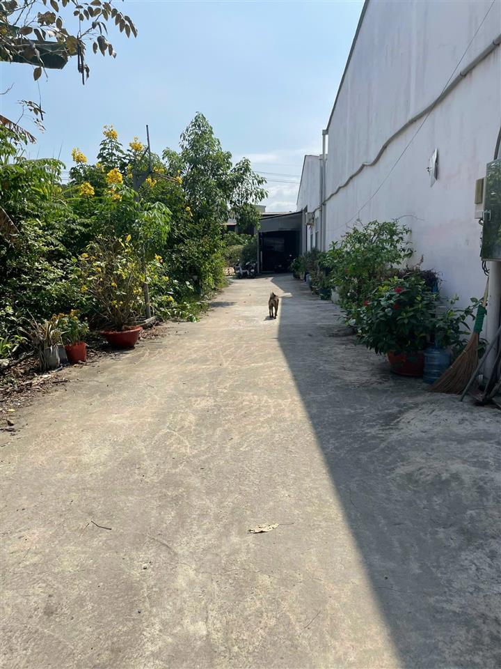 1823m2 ngay trung tâm quận 7 giáp quận 4, gần cảng bến nghé, gần kcx tân thuận, giá tốt, sổ sẵn