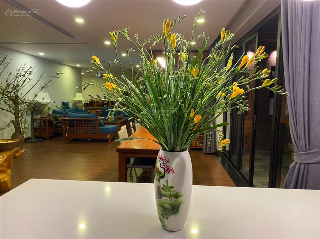 Penhouse bán cc 230m2(3n2wc)diện tích sân vườn 30m, giá 19.5 tỷ tại phú gia residence, thanh xuân.