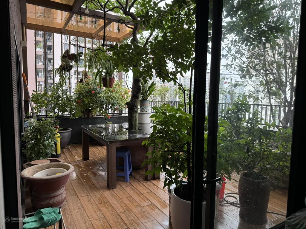 Penhouse bán cc 230m2(3n2wc)diện tích sân vườn 30m, giá 19.5 tỷ tại phú gia residence, thanh xuân.