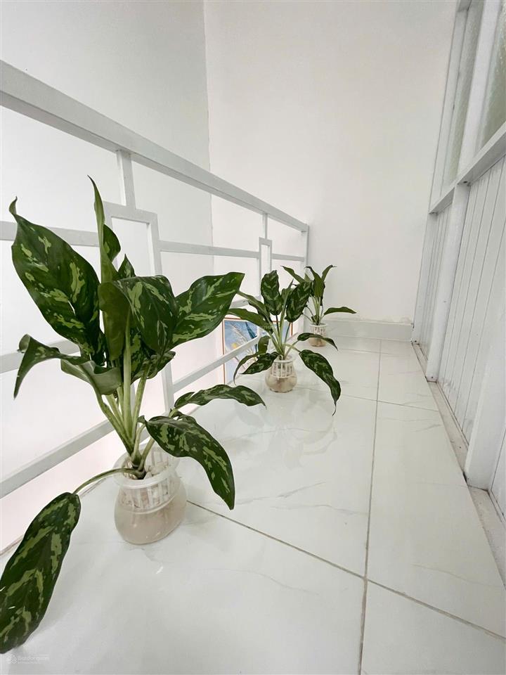 Bán nhà riêng 30m2 tặng full nội thất chỉ 600 triệu vnd