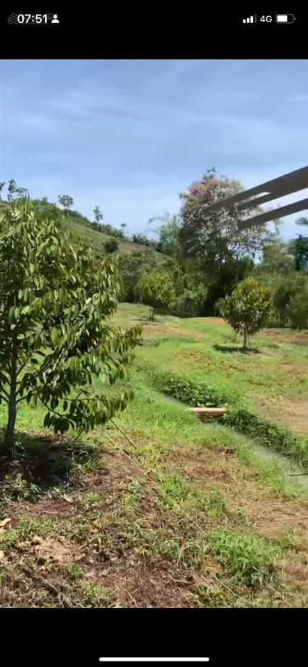 Bán đất vườn nghỉ dưỡng, 1300m2, 1 tỷ 300, mt 18m!