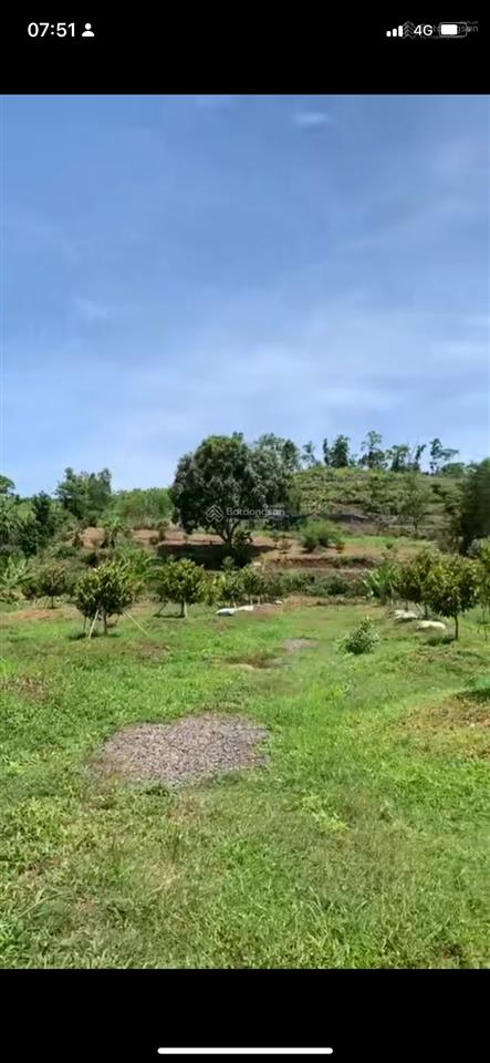 Bán đất vườn nghỉ dưỡng, 1300m2, 1 tỷ 300, mt 18m!