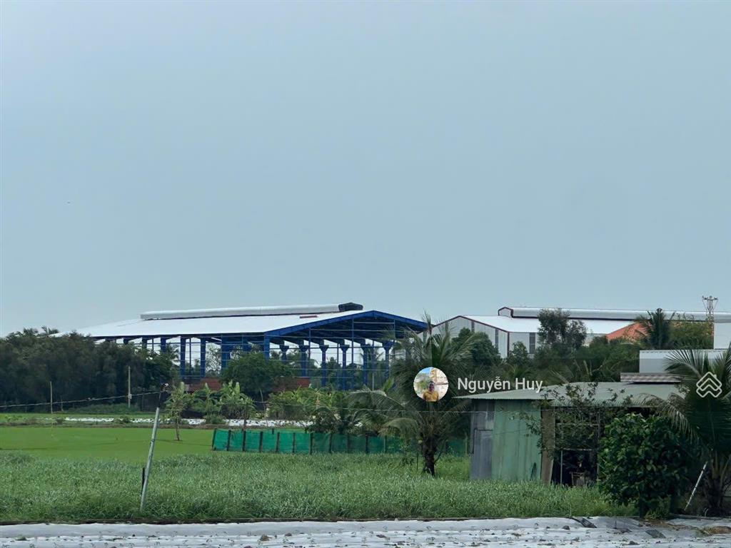 Cho thuê kho, nhà xưởng ở hướng thọ phú, tân an, long an, dt khuôn viên 12000m2 xưởng 8000m2