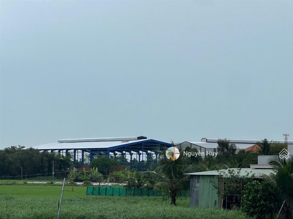 Cho thuê kho, nhà xưởng ở hướng thọ phú, tân an, long an, dt khuôn viên 12000m2 xưởng 8000m2