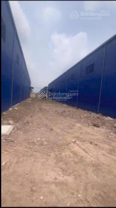 Cho thuê xưởng mỹ hạnh đức hòa 5000m² | xưởng mới 100% có điện 400kva  xe container 24/7