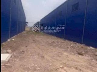 Cho thuê xưởng mỹ hạnh đức hòa 5000m2 |xưởng mới 100% có điện 400kva  xe container 24/7