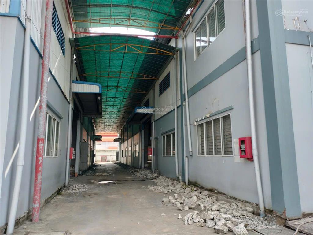 Cho thuê nhà xưởng kcn đức hòa diện tích lớn, kho đẹp, pháp lý chuẩn, pccc đầy đủ