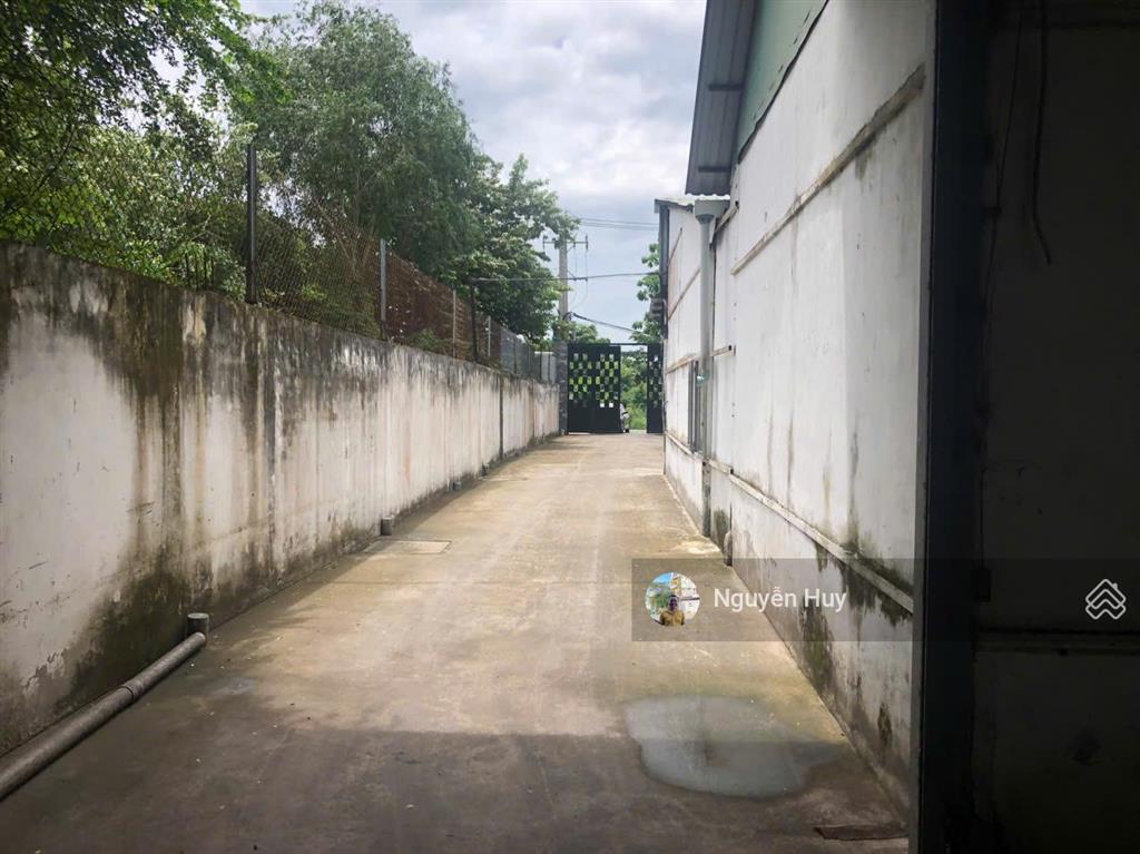 Cho thuê kho, nhà xưởng 1000m2, 70 triệu/tháng tại đường bùi thanh khiết, bình chánh, tp. hcm
