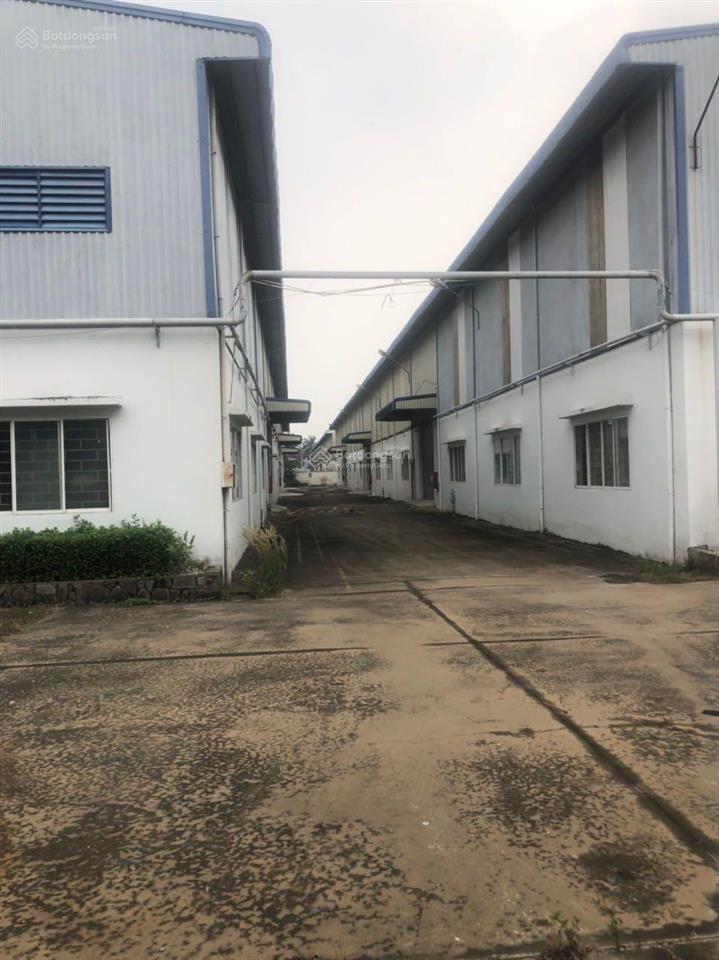Cho thuê kho xưởng khu công nghiệp tân đức, đức hòa, long an, đường xe cont 24/24
