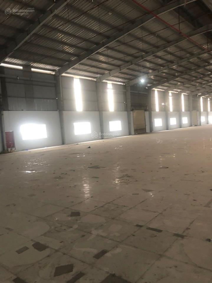 Cho thuê kho xưởng khu công nghiệp tân đức, đức hòa, long an, đường xe cont 24/24