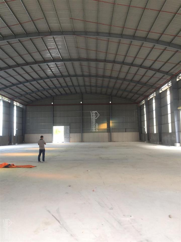 Cho thuê nhà xưởng mặt tiền tỉnh lộ 833, thuộc thành phố tân an, đường xe cont 24/24