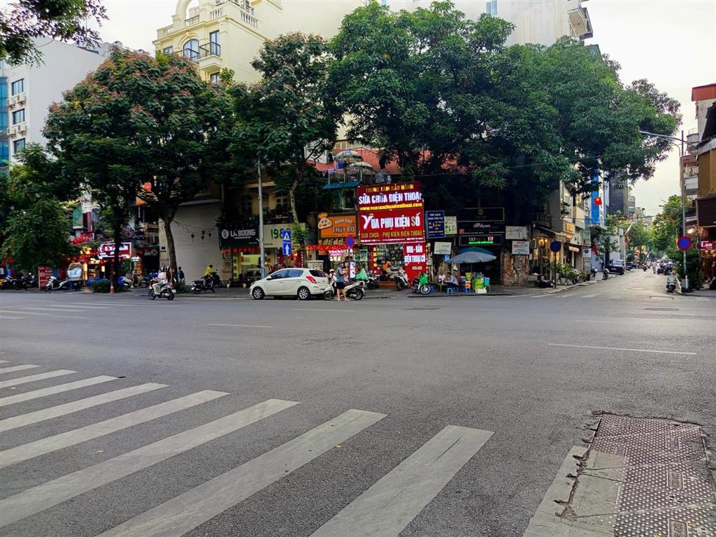 Viên ngọc mặt phố trương hán siêu 205,5m2 đất ở lâu dài