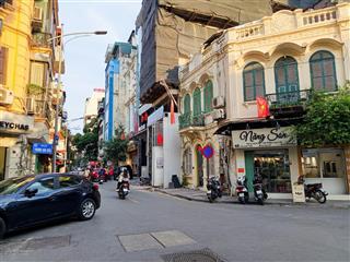 Viên ngọc mặt phố trương hán siêu 205,5m2 đất ở lâu dài