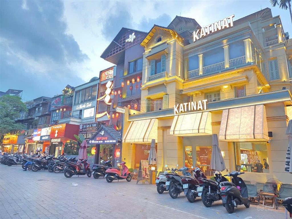 Đào tấn 130 m² * mặt tiền 11 m. ô tô  dòng tiền sẵn  kinh doanh vip