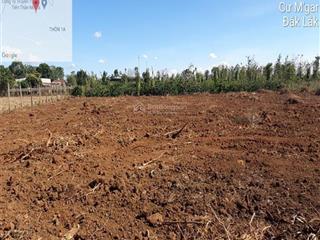 Cần bán đất ea m'nang, dak lak